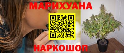 стафф Жуковский