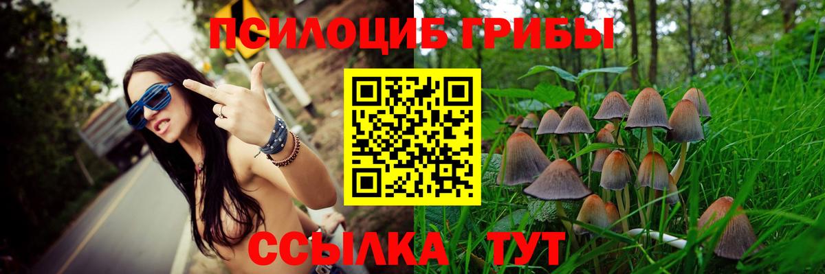 где продают наркотики  Вход с VPN  Кунгур  Галлюциногенные грибы GOLDEN TEACHER 